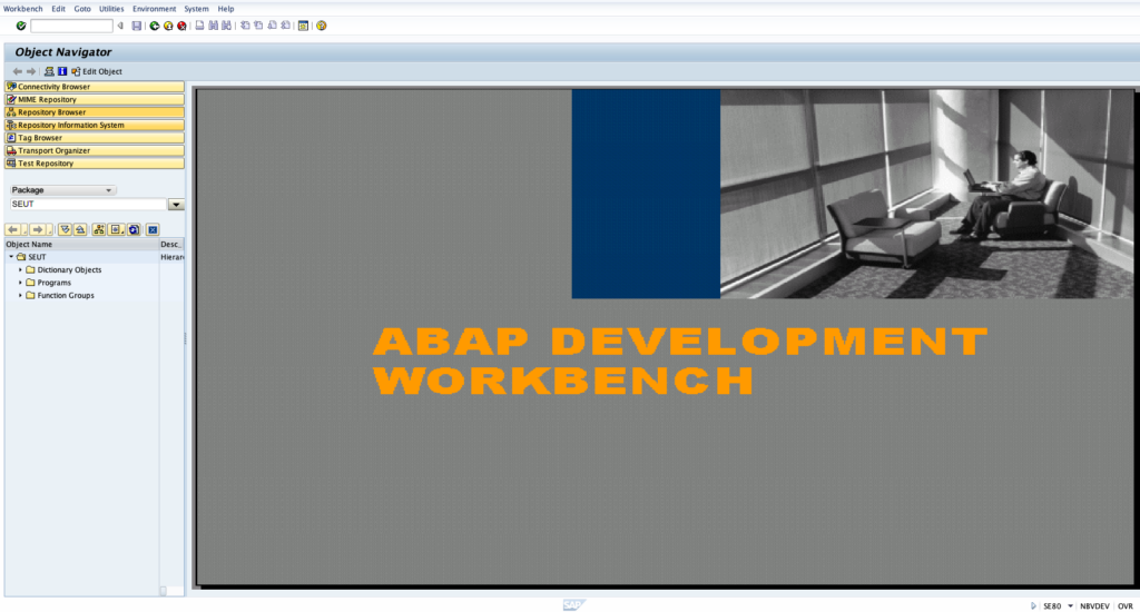 Accessing the object navigator in sap